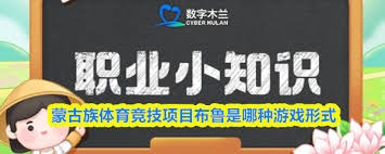 两队