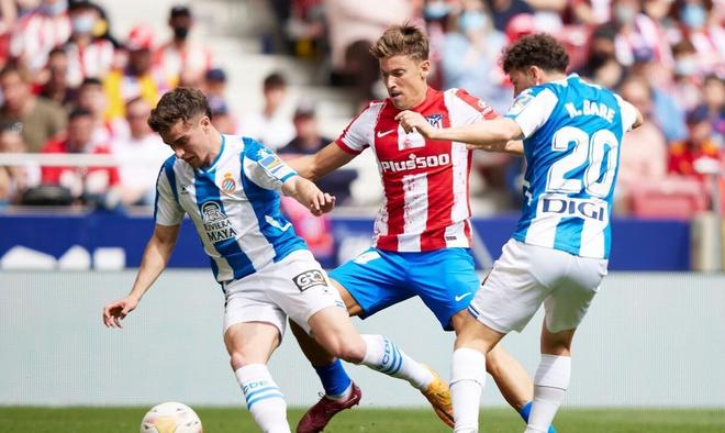 原本被稳固 原本被稳固