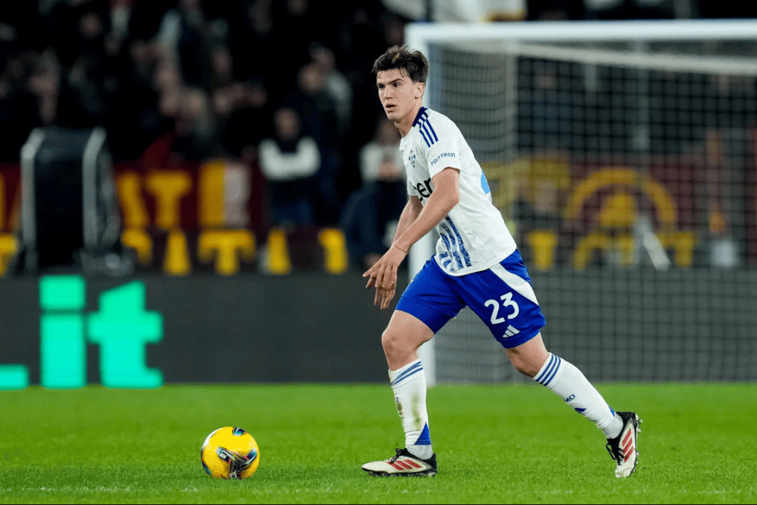 造了理想的 造了理想的